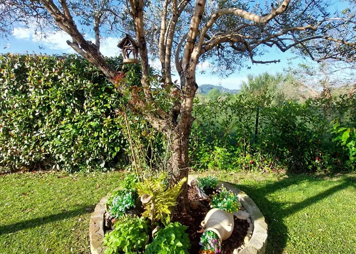 Rossodisera 3* Sarzana