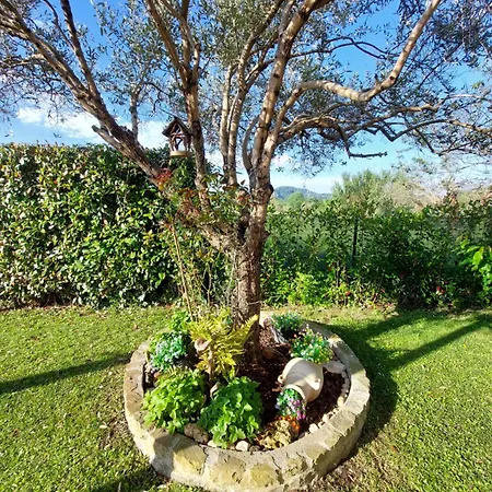 Rossodisera 3* サルツァーナ